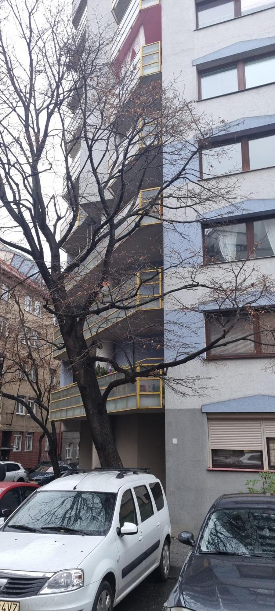 Huge Apartment Next To Train Station Close To The City Center Братислава Экстерьер фото